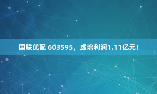 国联优配 603595，虚增利润1.11亿元！